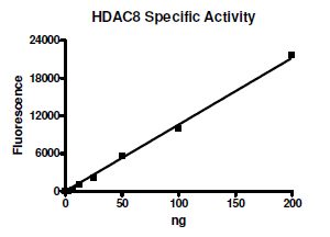 HDAC-8, active human recombinant protein