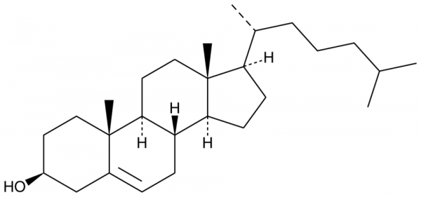 Cholesterol