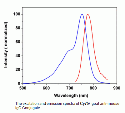 Cy7(R) goat anti-mouse IgG (H+L)