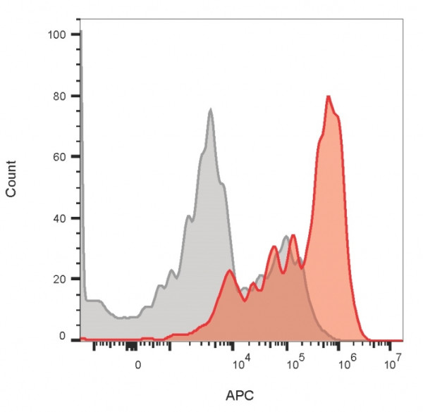 Anti-CD3e (T-Cell Marker), clone OKT3