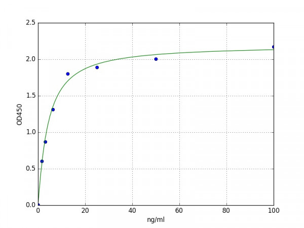 Human GAD1 / Glutamate decarboxylase 1 ELISA Kit