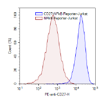 CD27/NF-kB Reporter-Jurkat Recombinant Cell Line