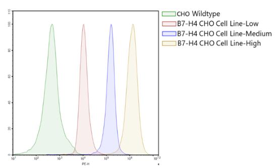 B7-H4 CHO Cell Line (low Expression)