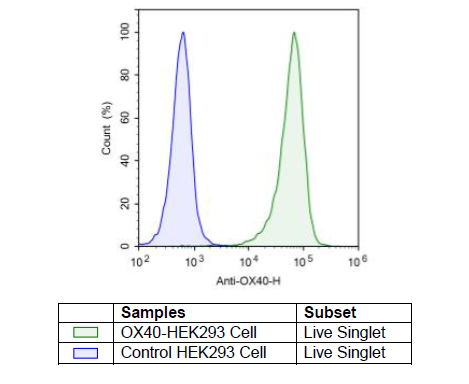 OX40 - HEK293 Recombinant Cell Line