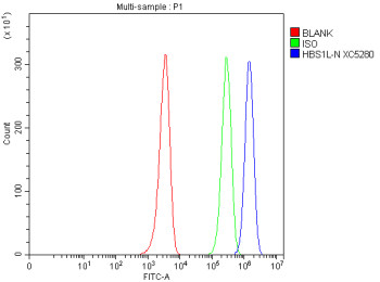 Anti-HBS1L / HBS1-like protein