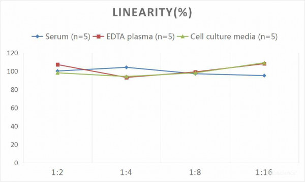 Human CTSD (Cathepsin D) CLIA Kit