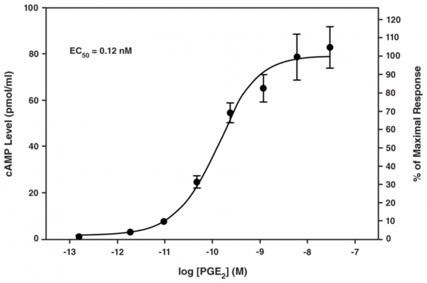 EP4 Receptor (rat) Activation Assay Kit (cAMP)
