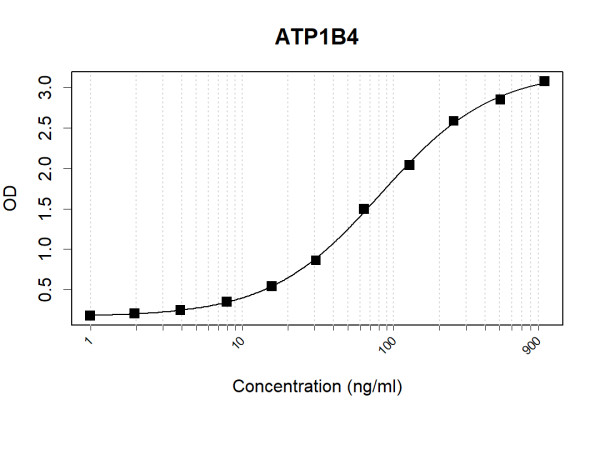 Anti-ATP1B4
