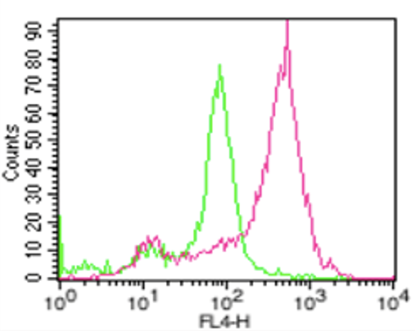 anti-ACE2 (human), mAb (AC18F) (ATTO 647N)