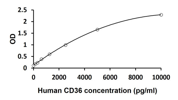 Human CD36 ELISA Kit