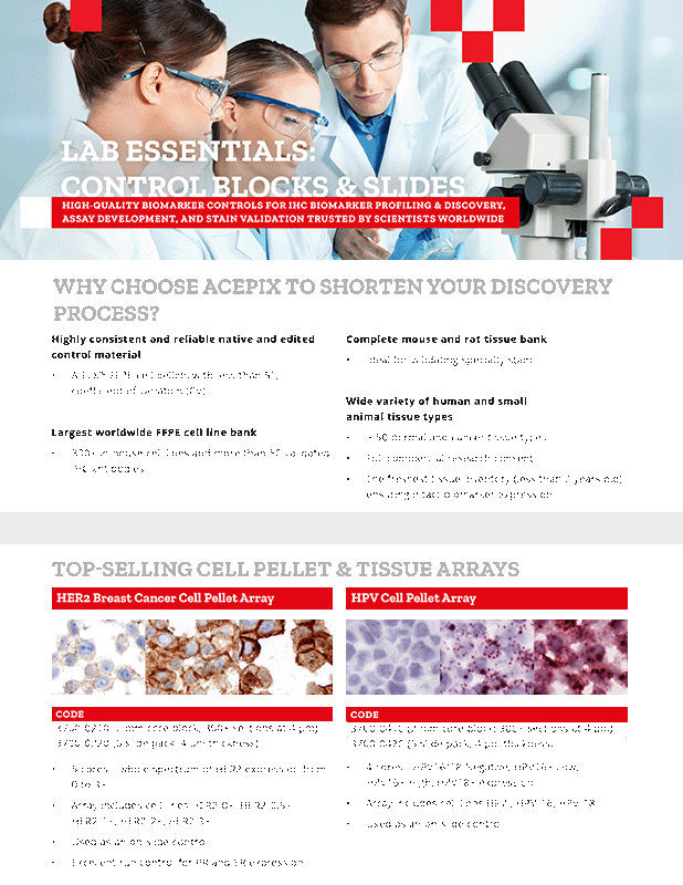 Lab Essentials: Control Blocks & Slides