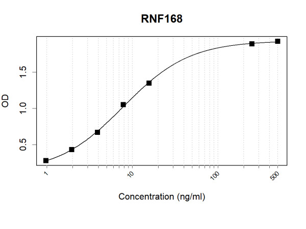 Anti-Human RNF168 Antibody Pair