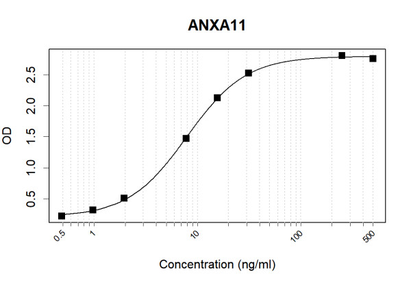 Anti-Human ANXA11 Antibody Pair
