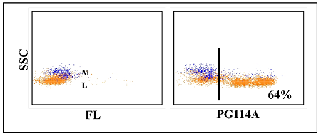 Anti-CD5 (swine), clone PG114A