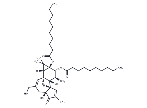 4alpha-PDD