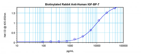 Anti-IGFBP7 (Biotin)