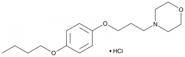 Pramoxine (hydrochloride)