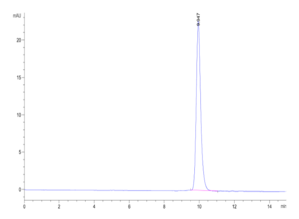 Cynomolgus ALK-1/ACVRL1 Protein