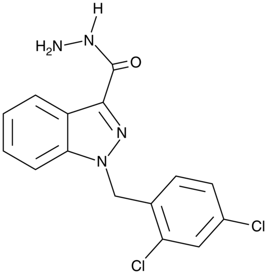 Adjudin