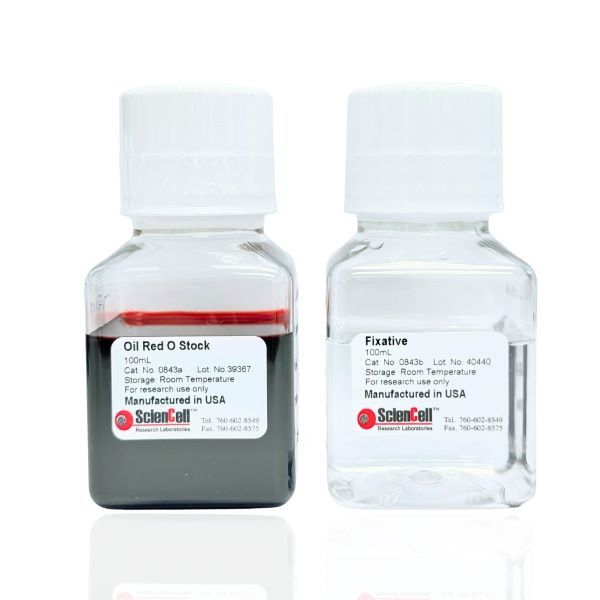 Oil Red O Staining Kit