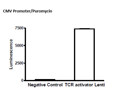 TCR Activator Lentivirus (EF1a Promoter/Hygromycin)
