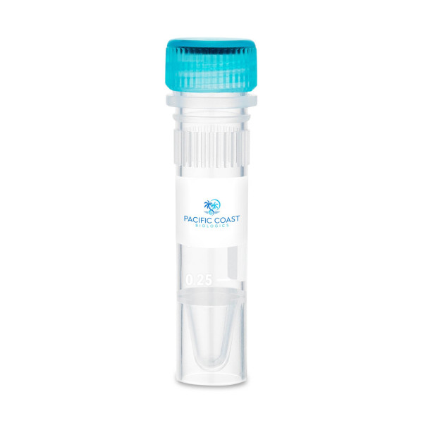 M-CSF (human), animal free recombinant