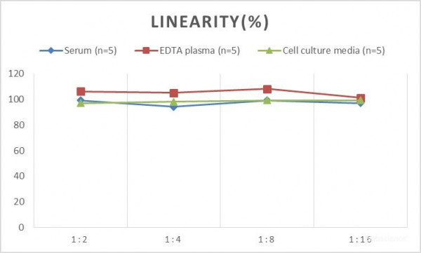 MS Mouse LEPR (Leptin Receptor) ELISA Kit