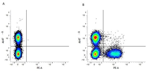 Anti-CD3 (RPE), clone KT3