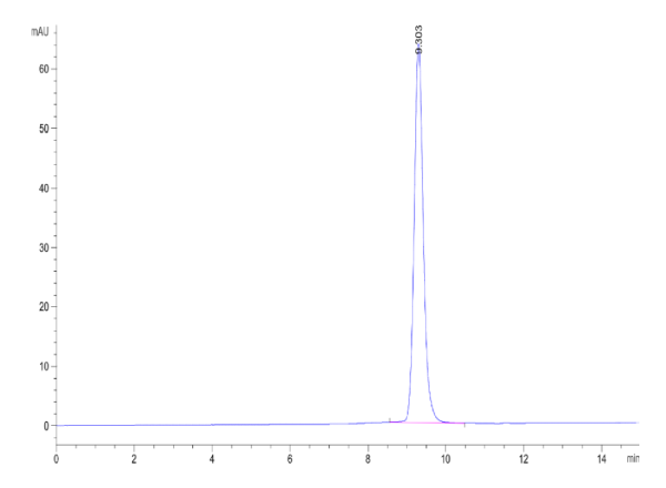 Biotinylated Human HLA-A*02:01&amp;B2M&amp;Survivin (LTLGEFLKL) Monomer Protein