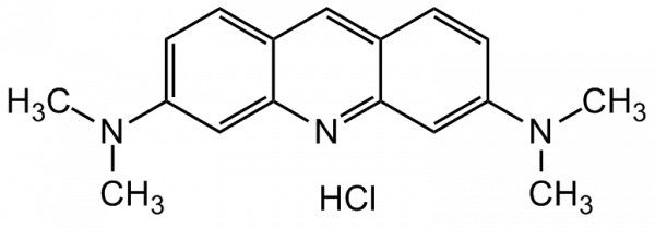 Acridine Orange Solution (2% in H2O)