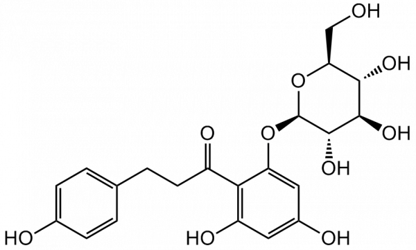 Phloridzin