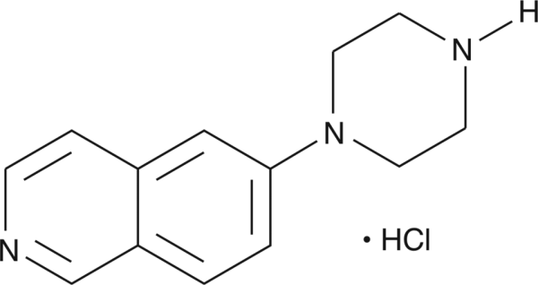 6-piperazin-1-yl-Isoquinoline (hydrochloride)