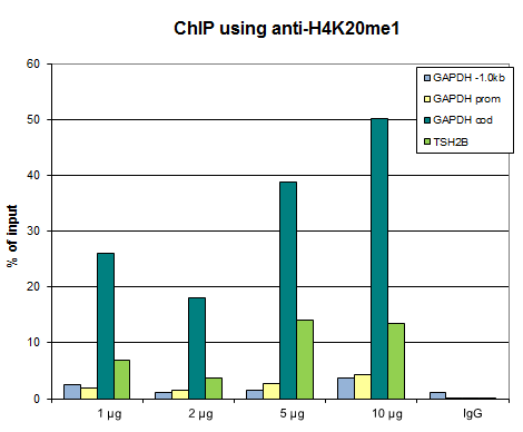 Anti-H4K20me1