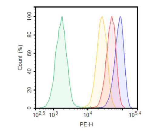 NKp46 CHO Cell Line (High Expression)