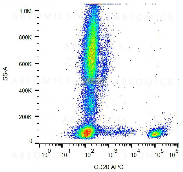 Anti-CD20 Monoclonal Antibody (Clone:LT20)-APC Conjugated