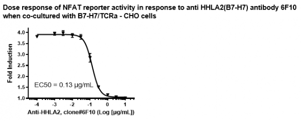 TMIGD2/NFAT Luciferase Reporter Jurkat Cell Line