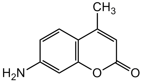 AMC Standard Solution