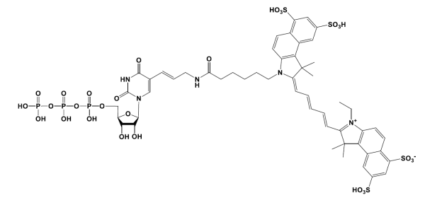 Sulfo-Cyanine5.5 UTP