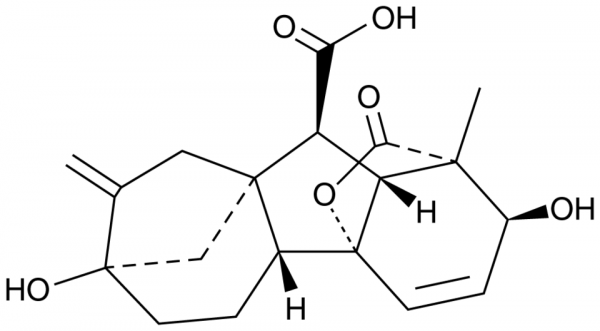 Gibberellic Acid