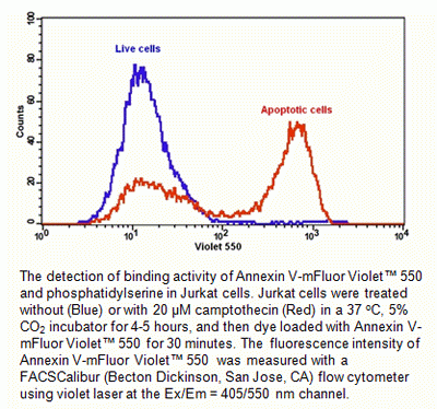 Cell Meter(TM) Annexin V Binding Apoptosis Assay Kit, Orange Fluorescence Excited at 405 nm