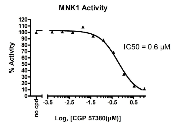MNK1 Kinase Assay Kit