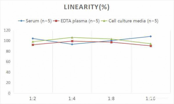 Rat IL-4 (Interleukin 4) CLIA Kit