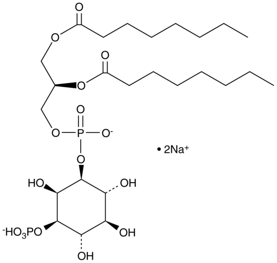 PtdIns-(3)-P1 (1,2-dioctanoyl) (sodium salt)