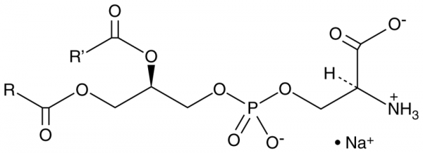 Phosphatidylserine (soy) (sodium salt)