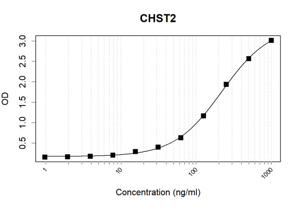 Anti-Human CHST2 Antibody Pair