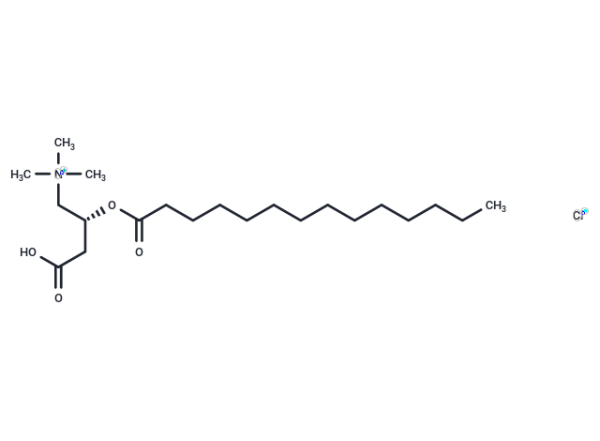 Myristoyl-L-carnitine chloride