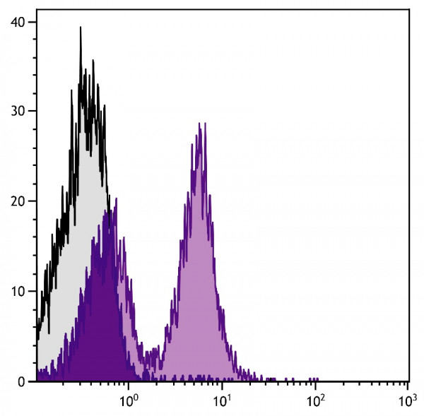 Anti-CD40 (Spectral Red), clone 1C10