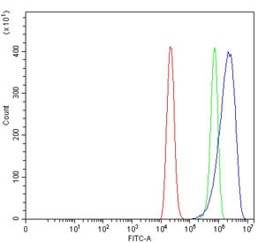 Anti-TRPM2 / EREG1