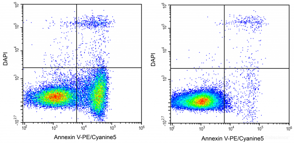 Annexin V-PE/Cyanine5 / DAPI Apoptosis Detection Kit