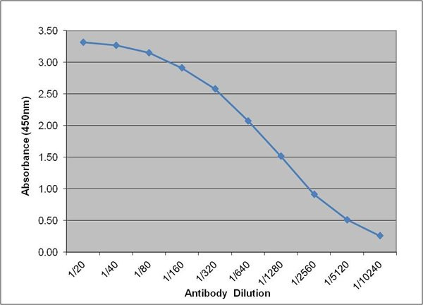 Anti-Lipoprotein Lipase (LPL) (HRP), clone 5D2